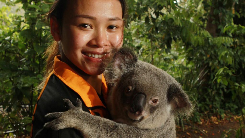 Australia Diving Grand Prix